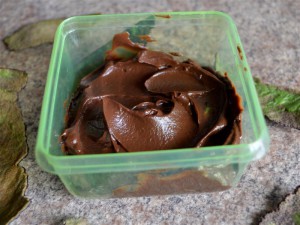 Czekoladowy pudding z awokado 10