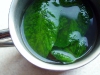 zielona-herbata-z-zielona-mieta-03